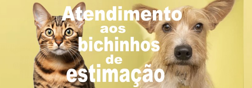 Palestra Pública