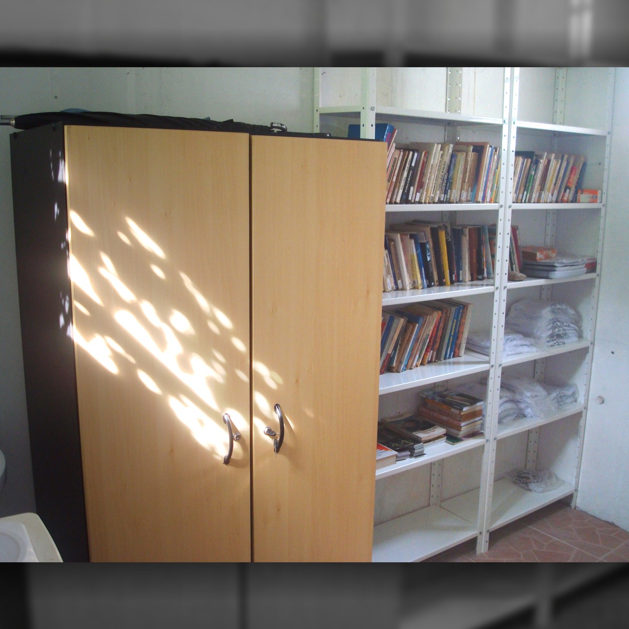 2011-BIBLIOTECA.jpg